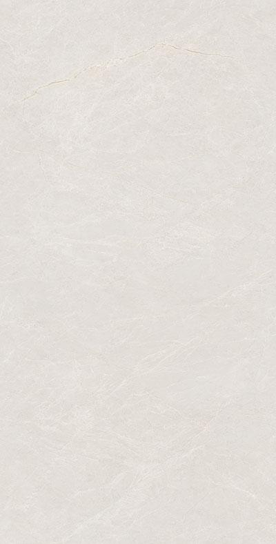 TTB715897-W 布拉達